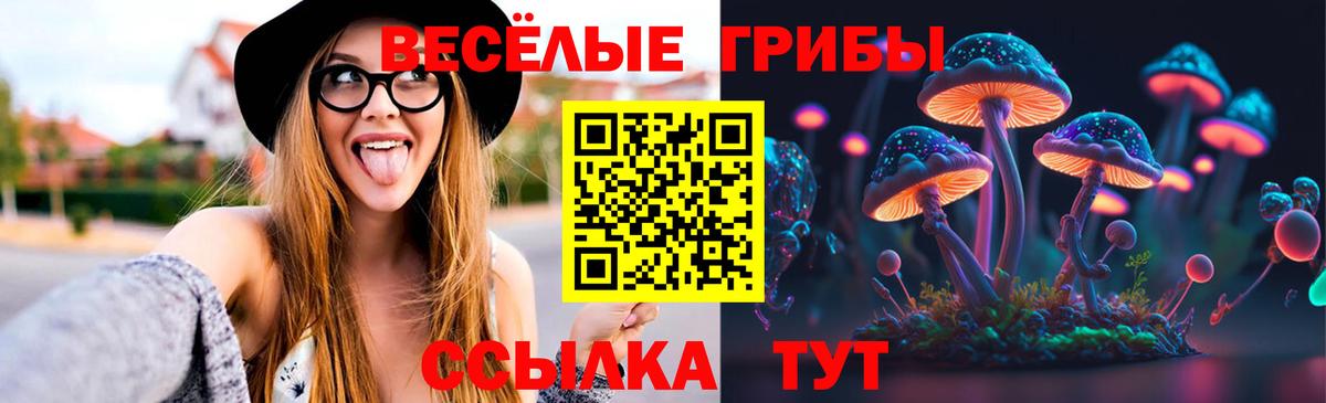 Выкса  продажа наркотиков  Вход с VPN  Галлюциногенные грибы GOLDEN TEACHER 